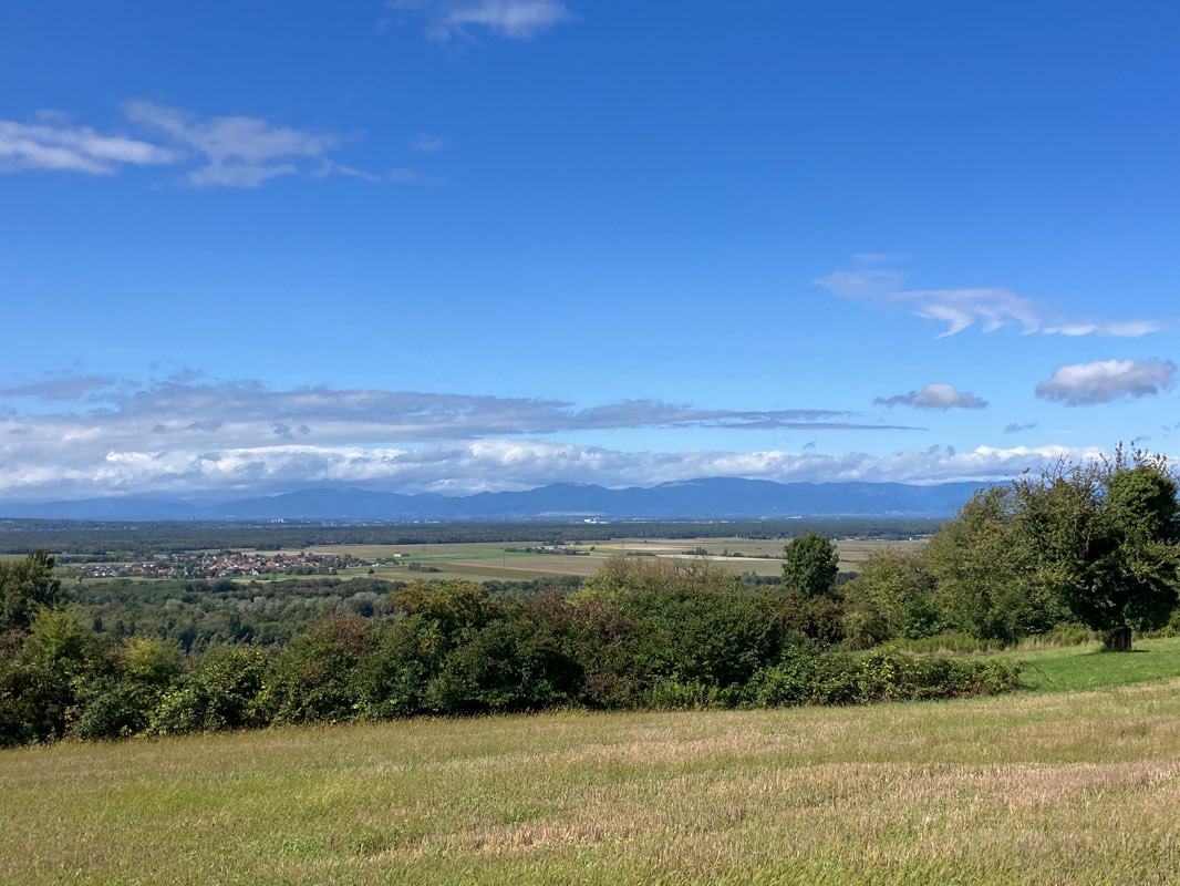walking near me in Wettsteinanlage in autumn