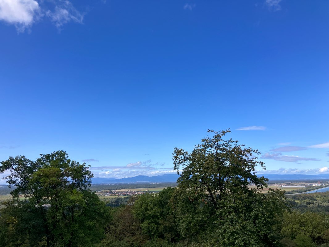 walking near me in Wenkenpark in autumn