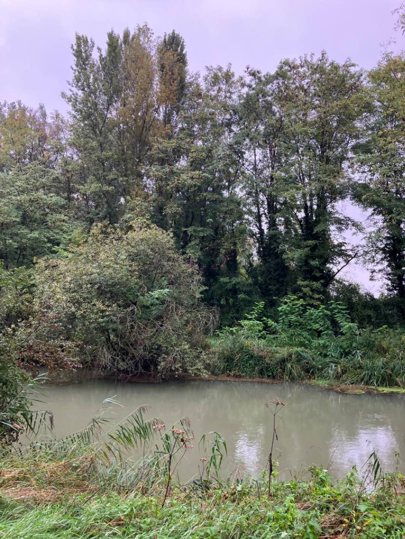 walking near me in St.Johanns-Park in autumn