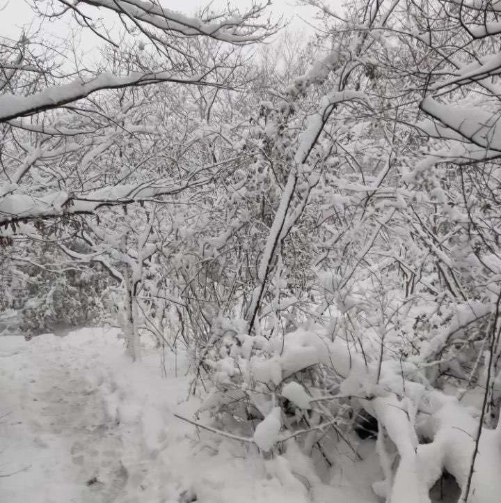 小小