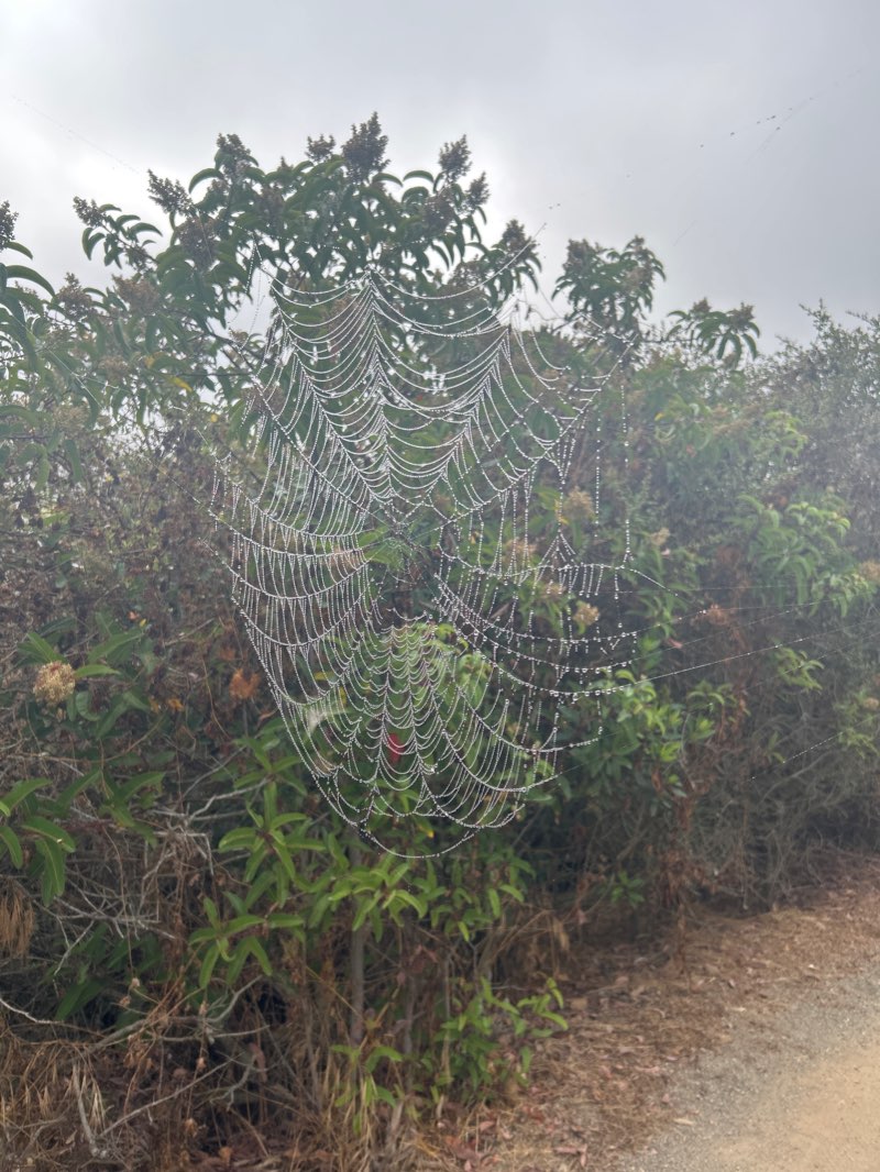 walking near me in Questhaven Park in winter