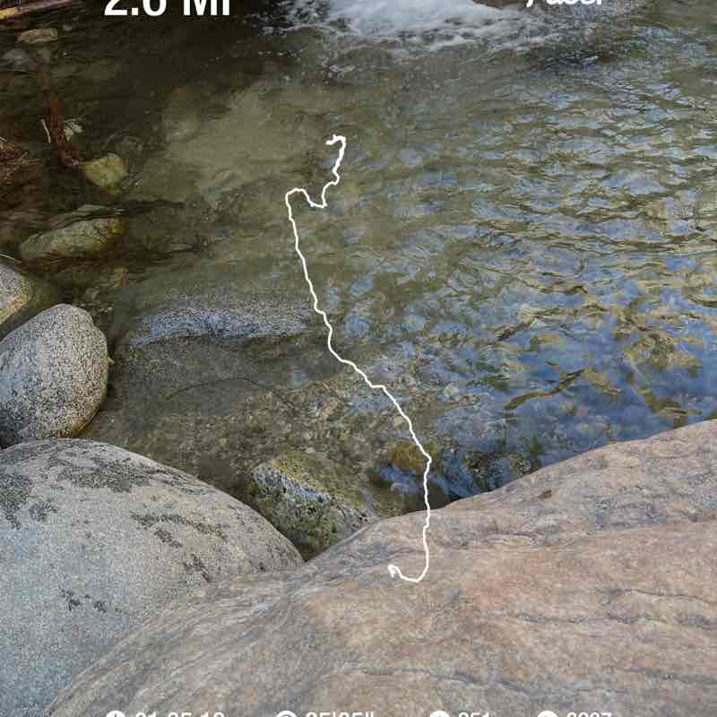 Vivi The Best post 1