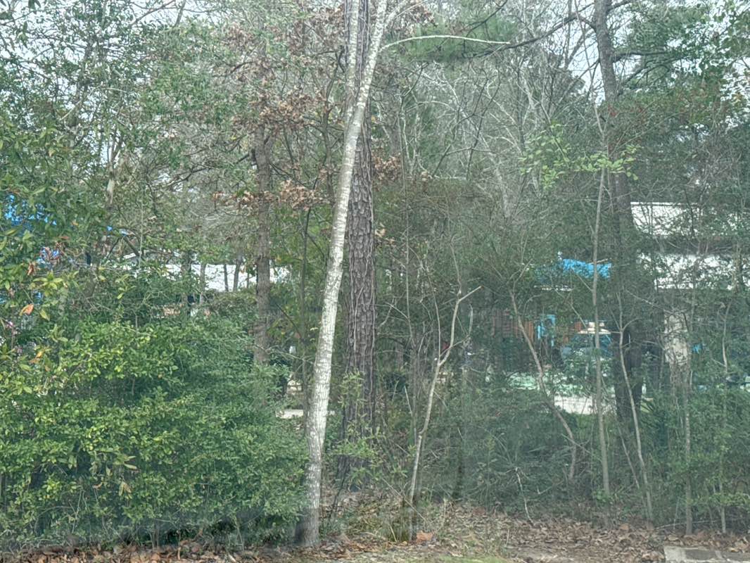 walking near me in Bear Branch Park in winter