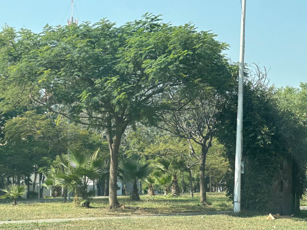 walking near me in Andador Lazaro Cardenas in winter
