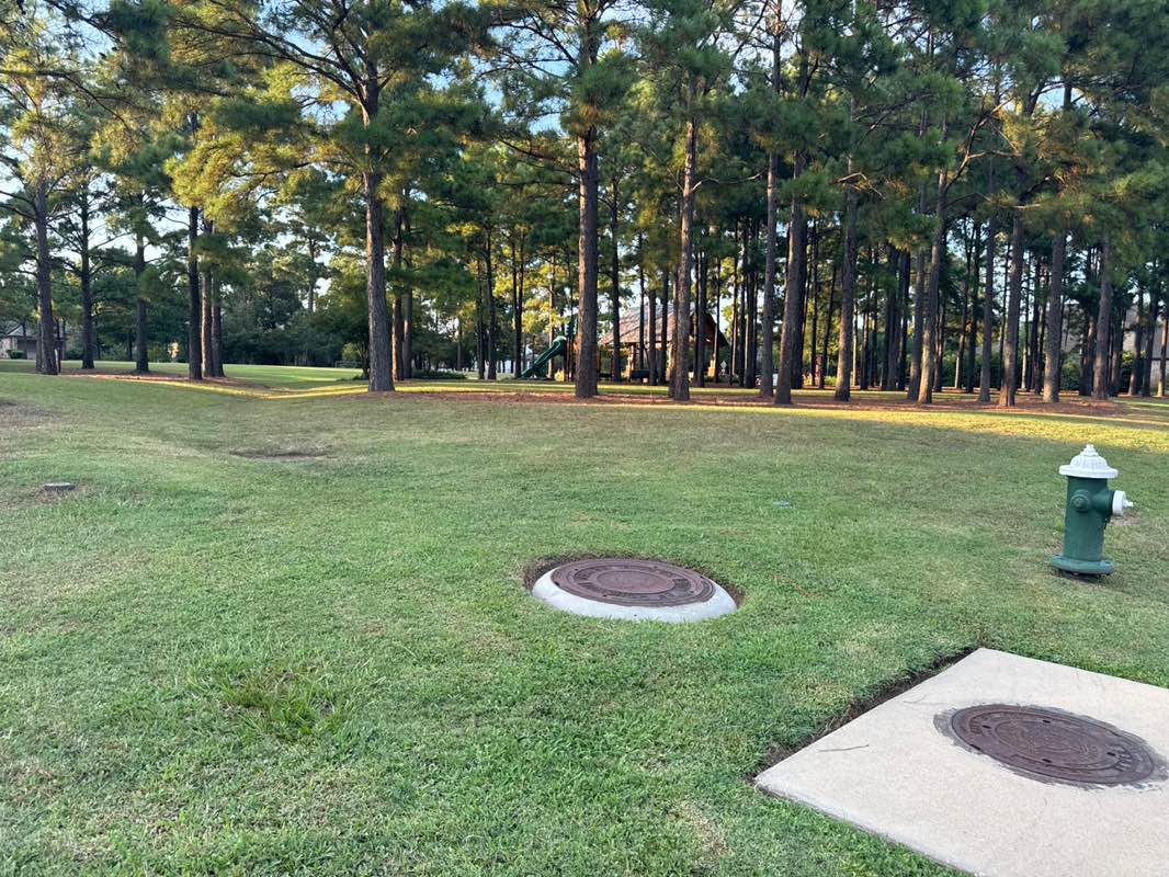 walking near me in Spincaster Park in autumn