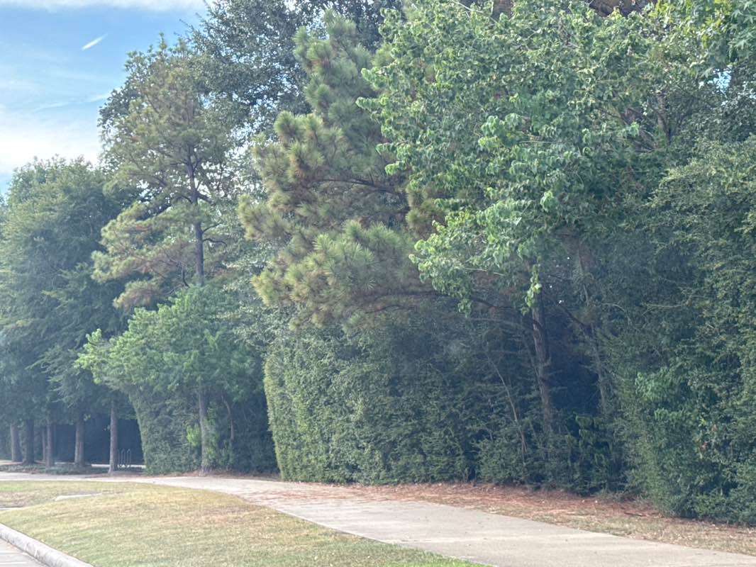 walking near me in Tupelo Park in autumn