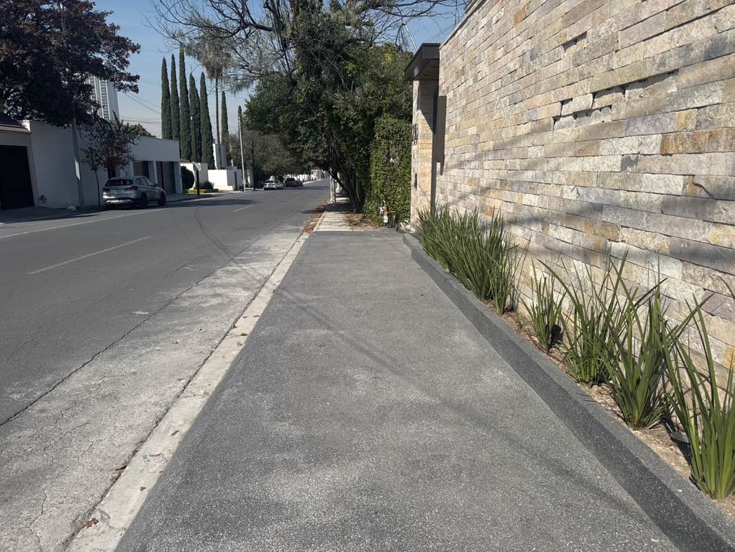 walking near me in House Park in winter