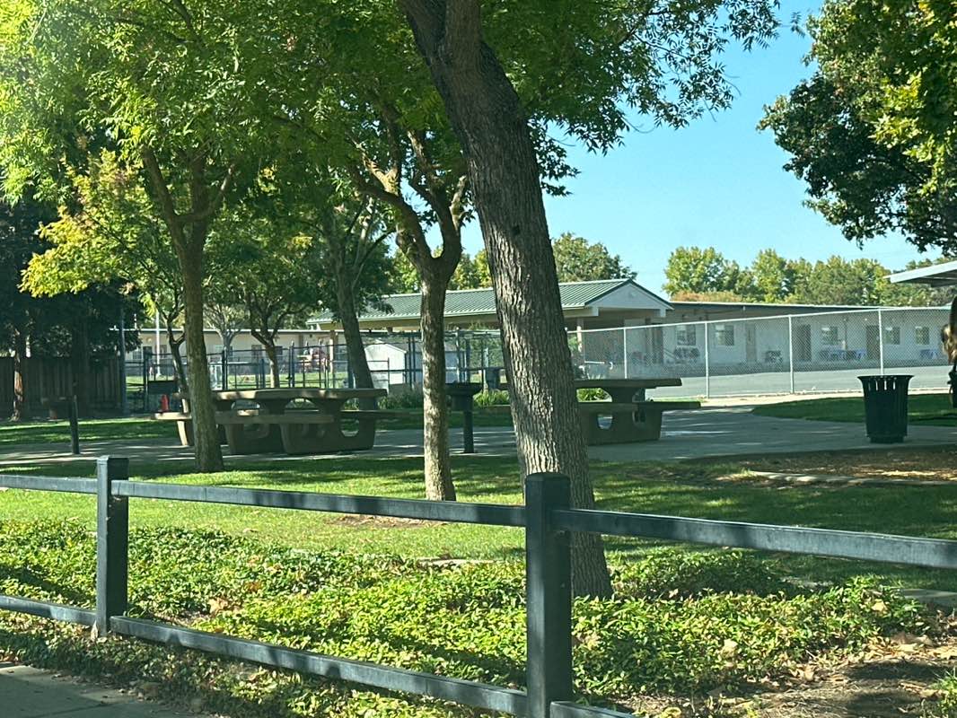 walking near me in Loma Vista Park in autumn