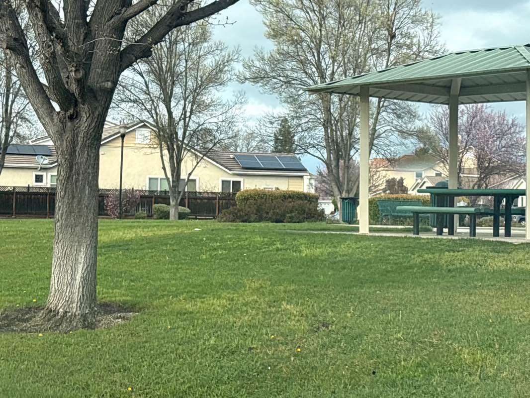 walking near me in Celeste Park in winter