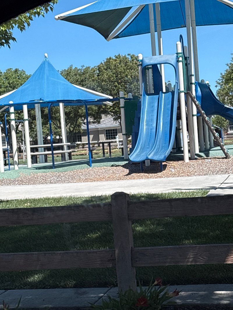 walking near me in Seedling Park in spring