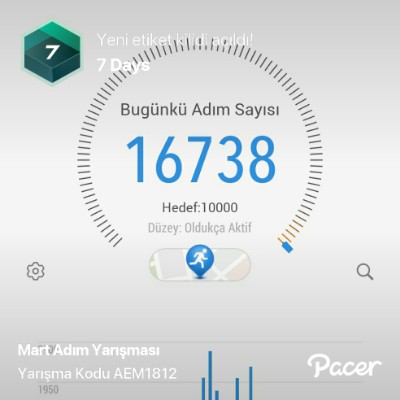 londradabirden post 1