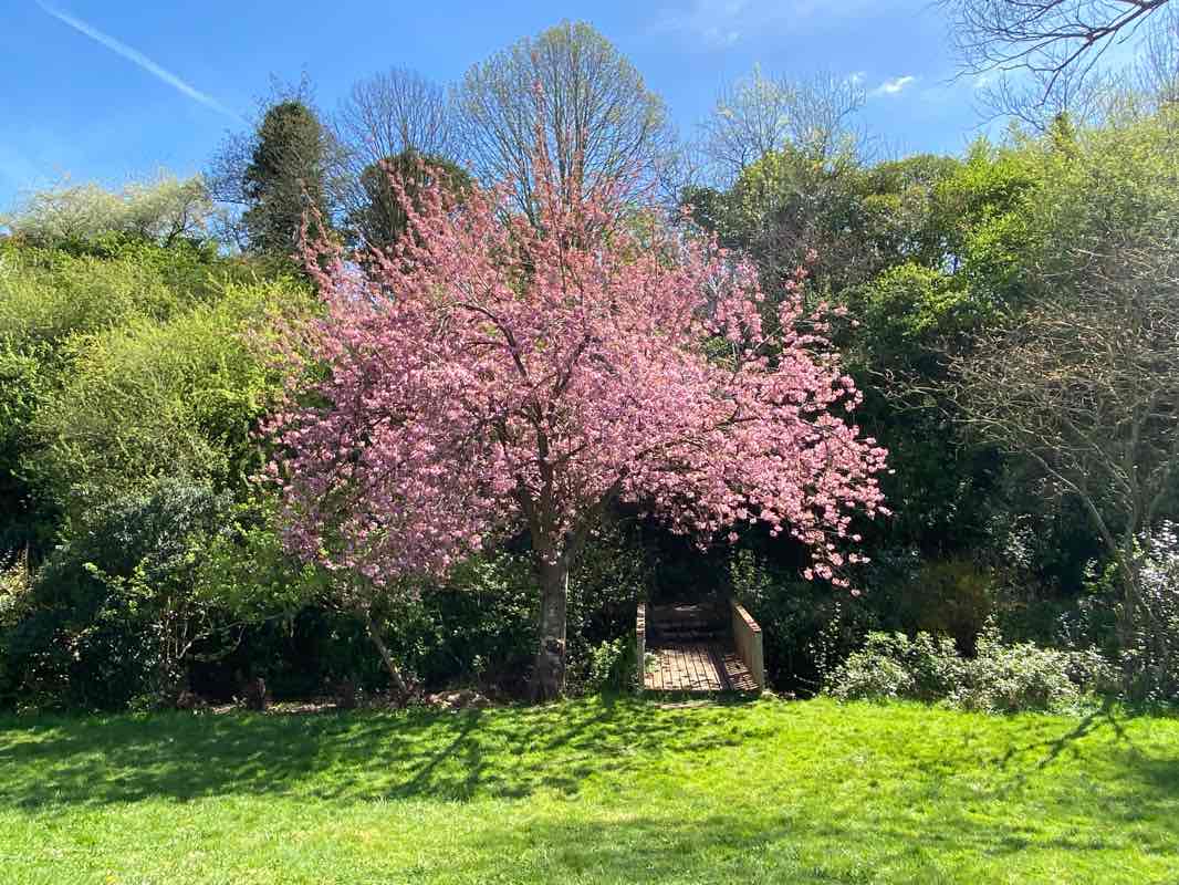 walking near me in Parc Saint-Paul in winter