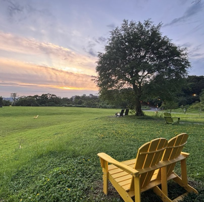 跳跳虾🦐 profile