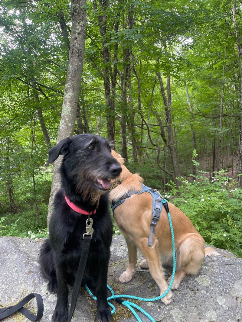 walking near me in Stepney Green in winter
