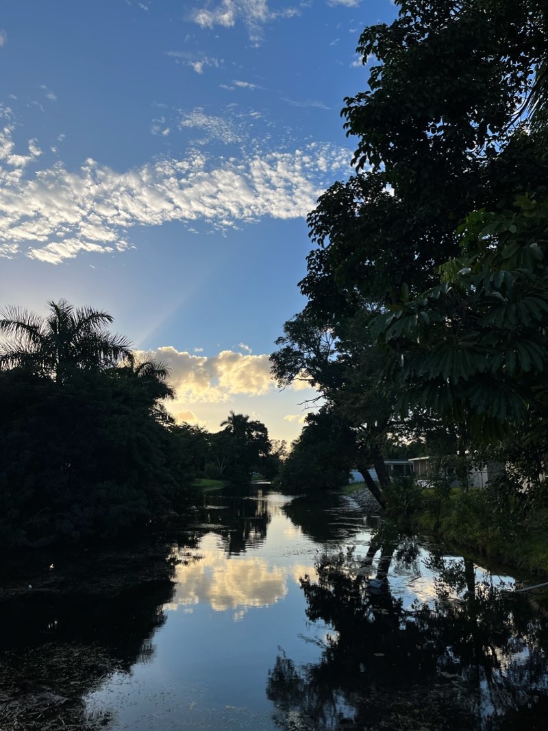 walking near me in Fig Tree Park in winter