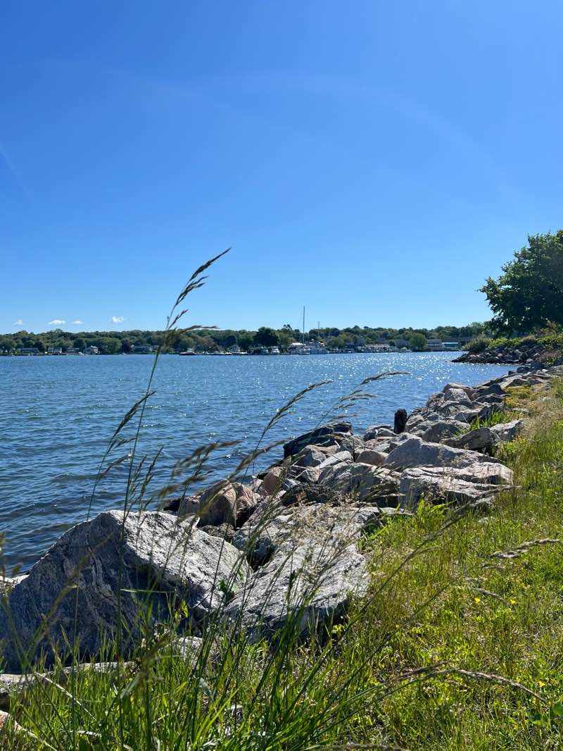 walking near me in Cini Memorial Park in spring