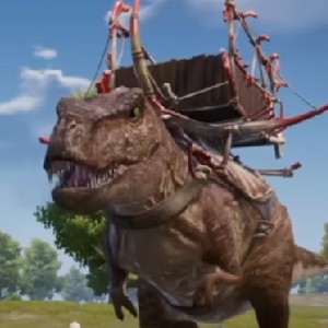 محمد الجنبي