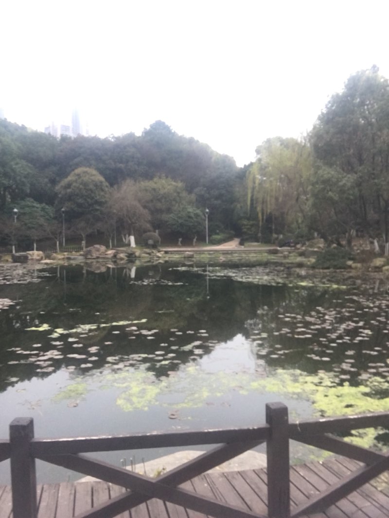 walking near me in 南郊公园 in winter