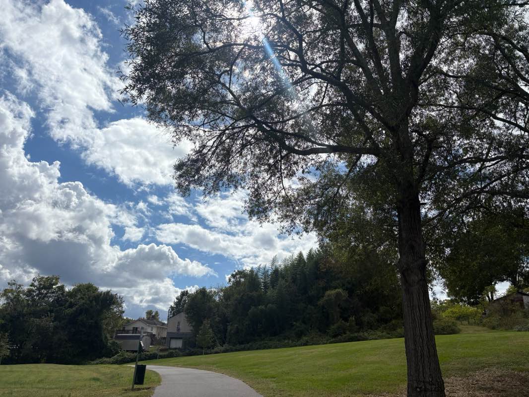 walking near me in J.W. (Mickey) McGee, Jr. Park in autumn