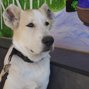 Karmen 🇦🇲 profile