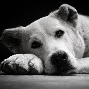 Karmen 🇦🇲 profile