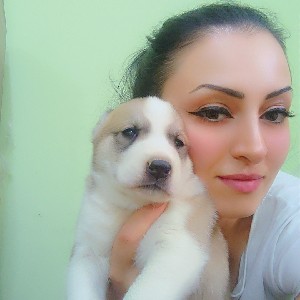 Karmen 🇦🇲 icon