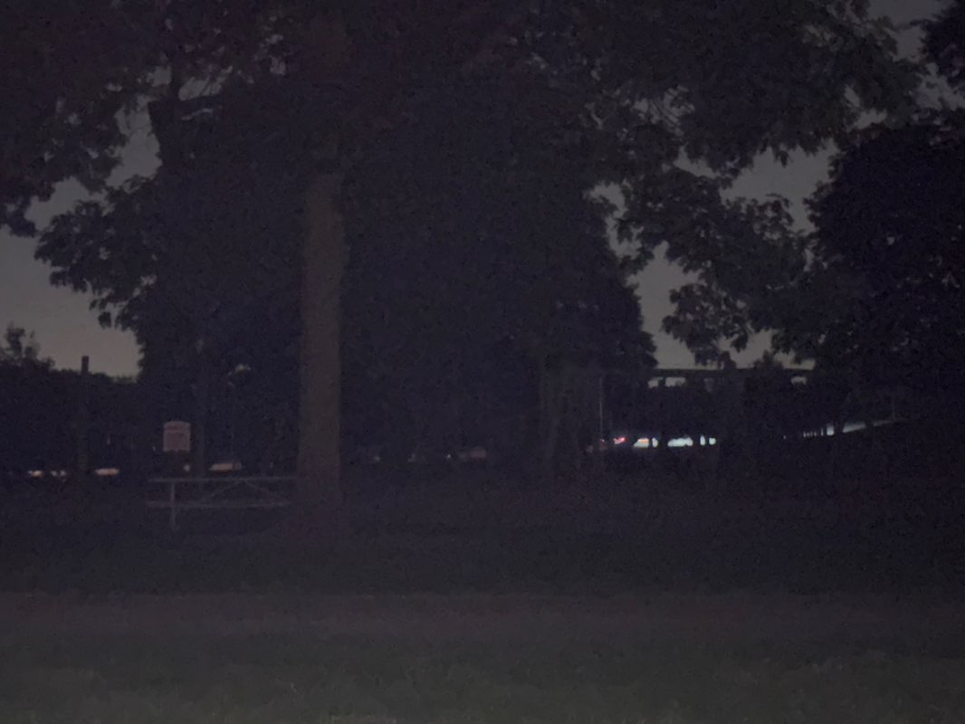 walking near me in Randall Oaks Park in summer