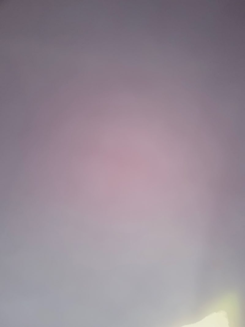 walking near me in Henry Park in autumn