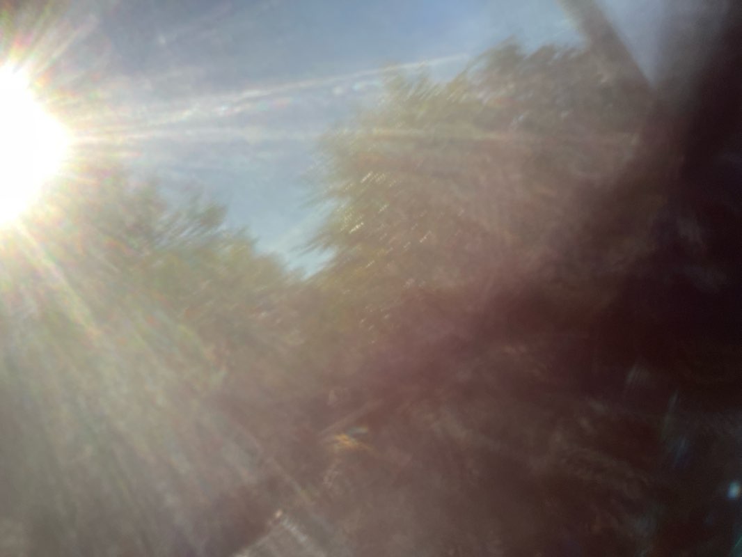 walking near me in The Southside Green in autumn