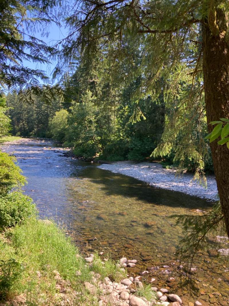 walking near me in Lewisville Park in summer
