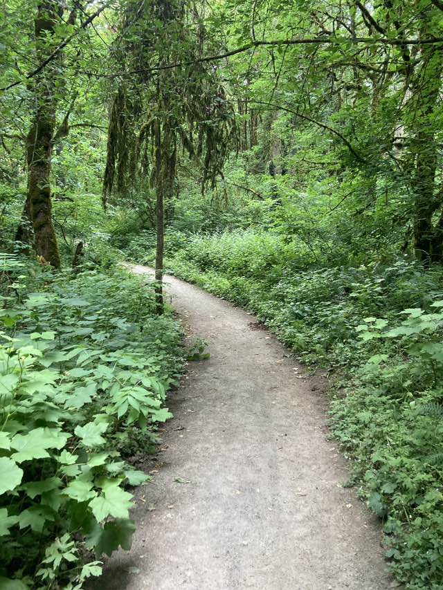 walking near me in Whipple Creek Park in summer