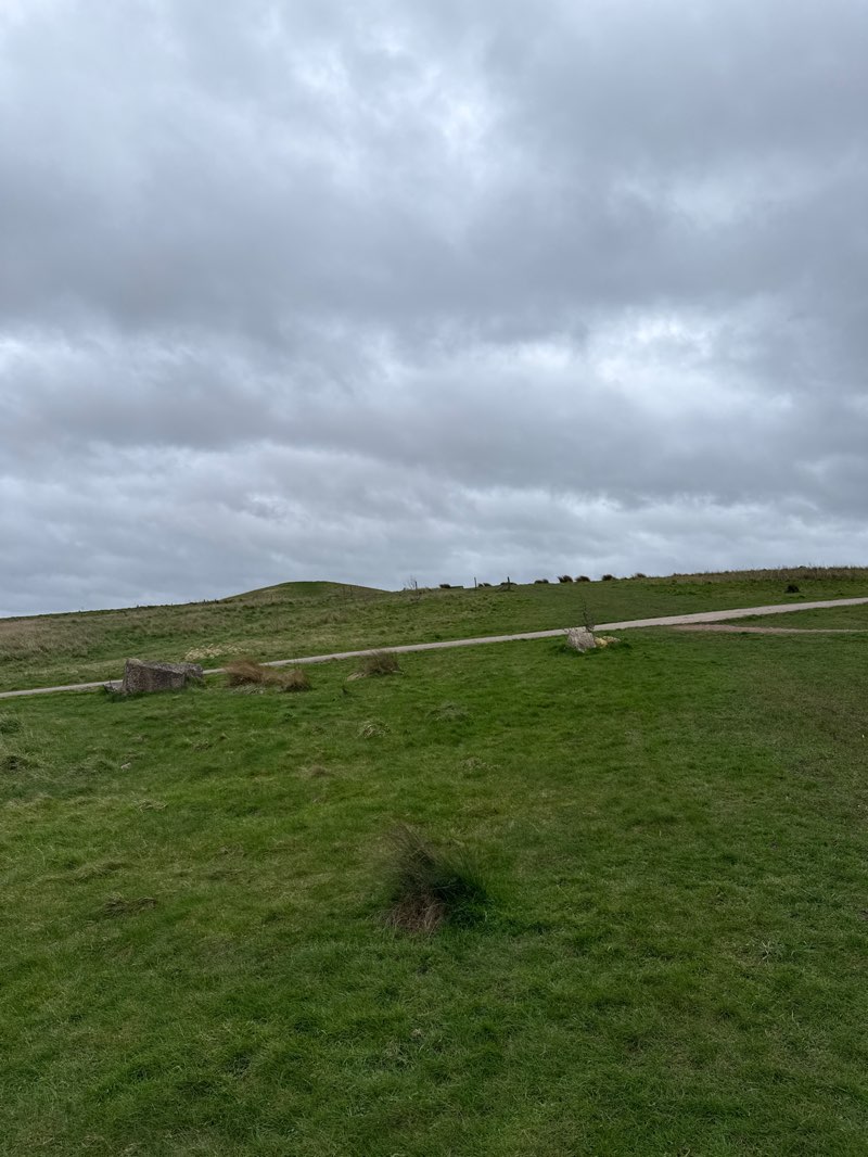 walking near me in Frickley Country Park in spring