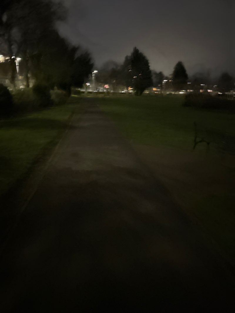 walking near me in Duchess of Hamilton Park in winter