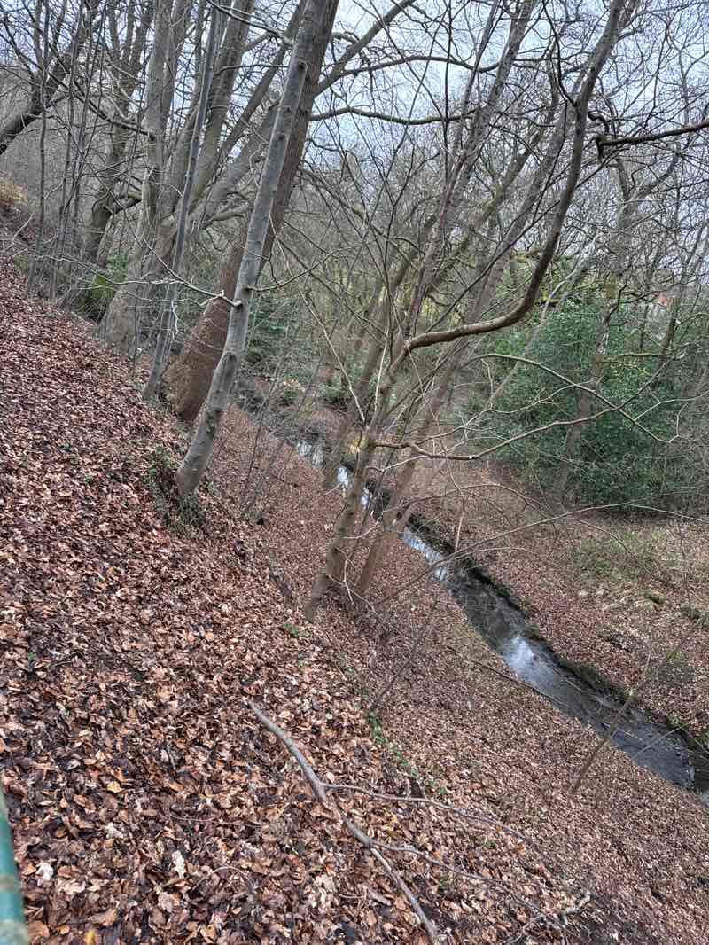 walking near me in Shields Glen Park in spring