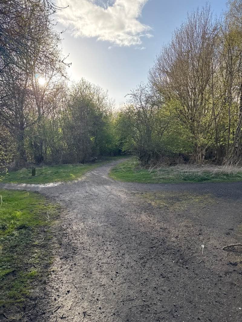 walking near me in Riccard Johnston Park in spring