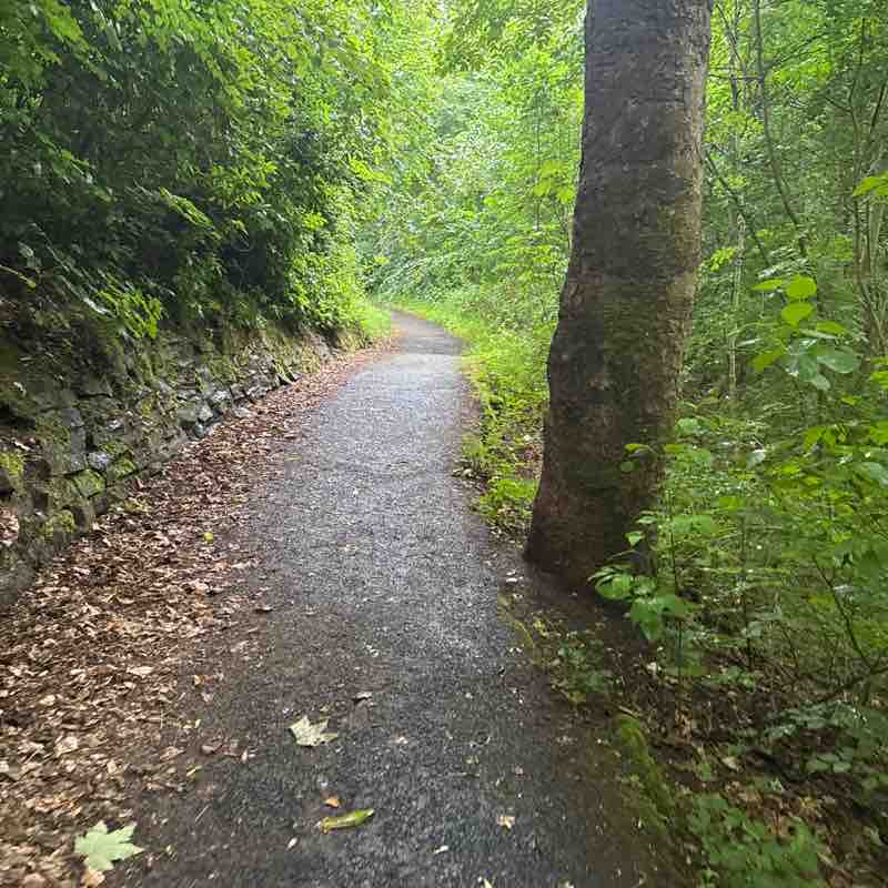 Ross post 1
