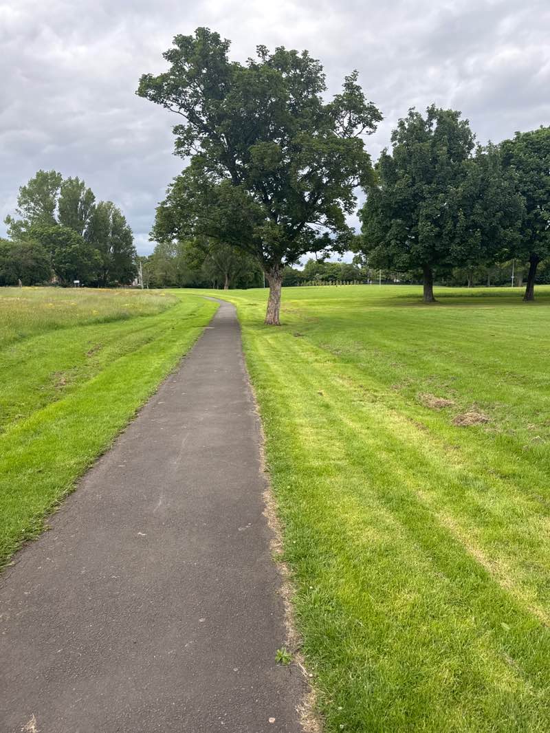 walking near me in McAnulty Park in summer