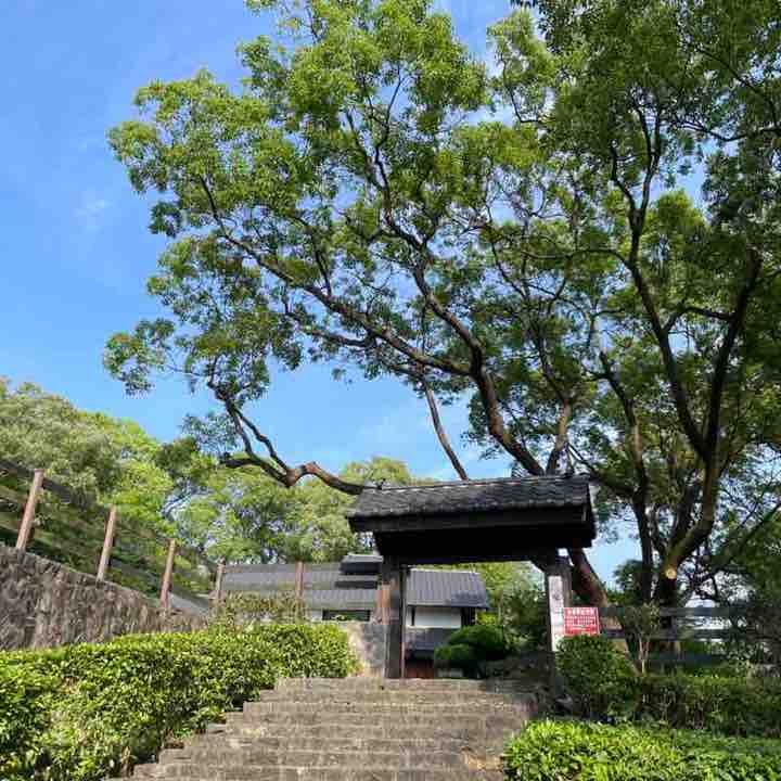 景天 post 1