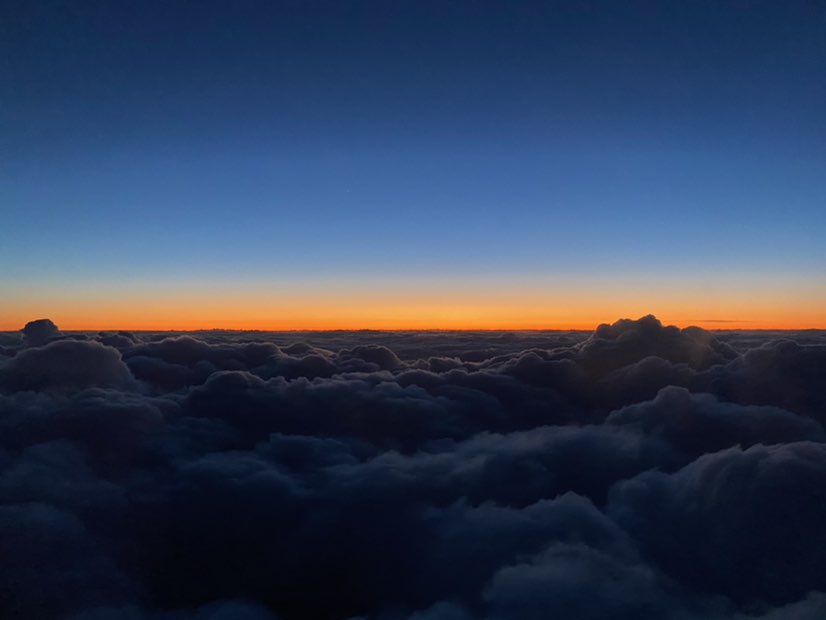 Алексей Пронкин