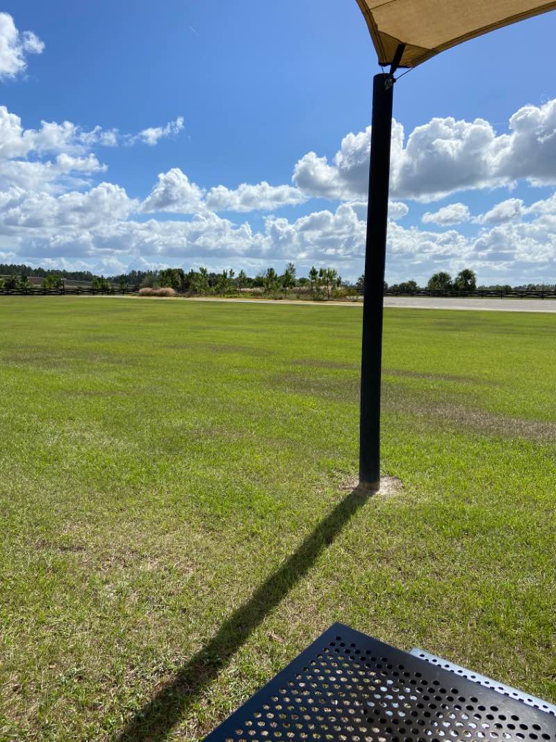 walking near me in Seminole State Forest in winter