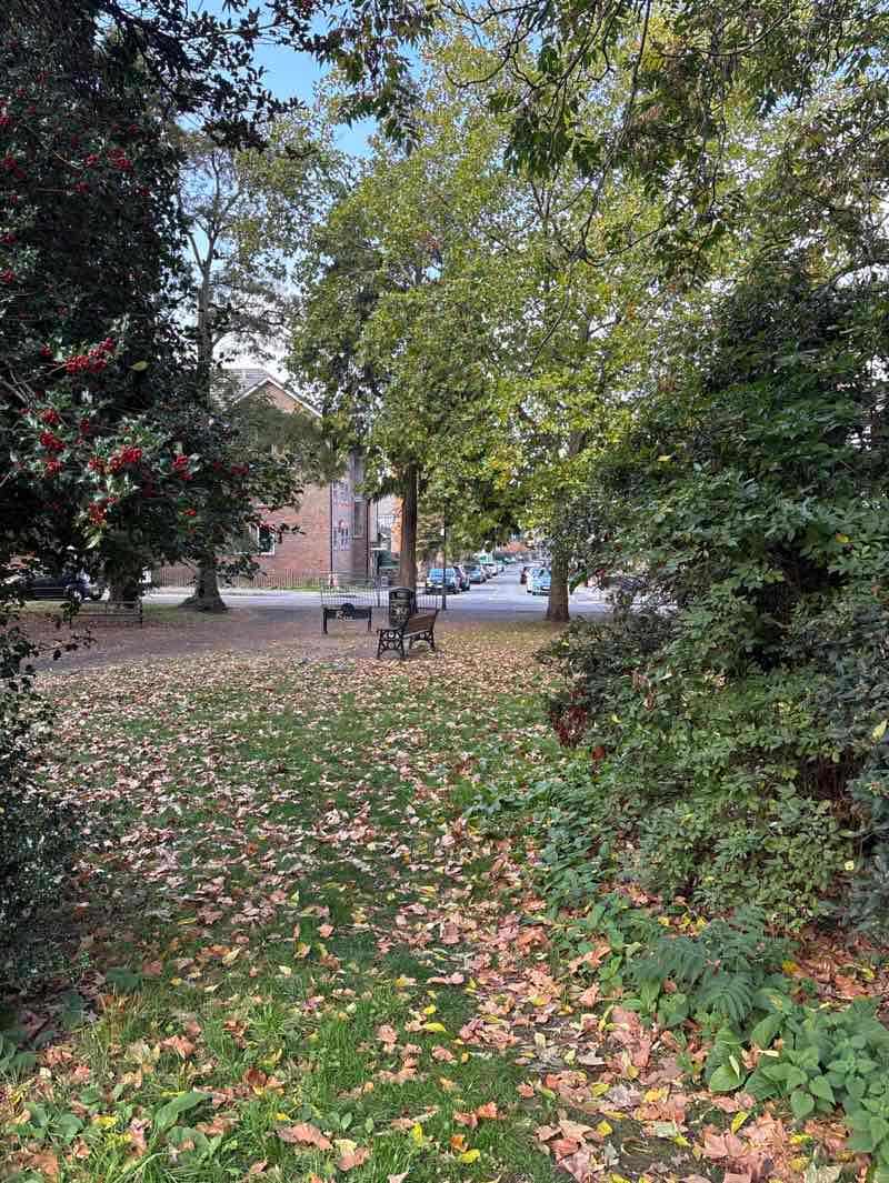 walking near me in Claremont Gardens in autumn