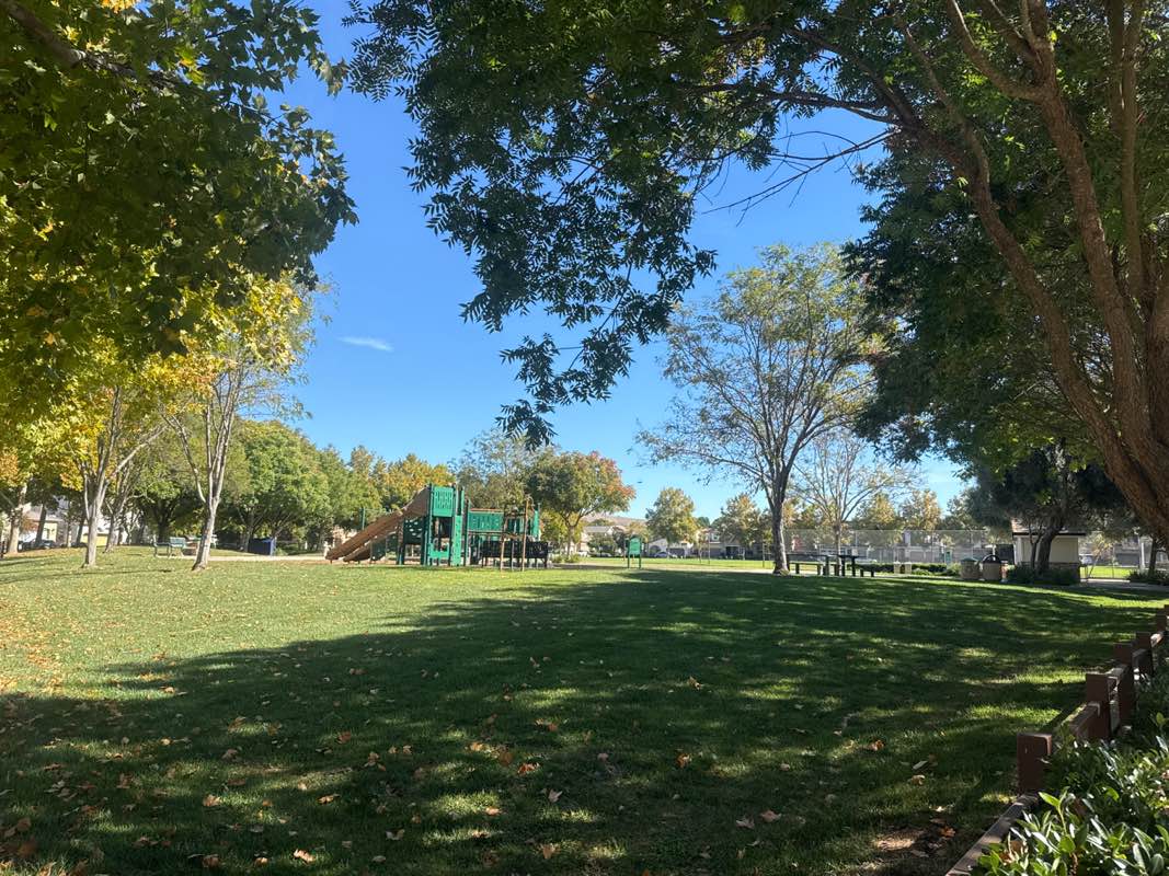 walking near me in Arlington Park in autumn