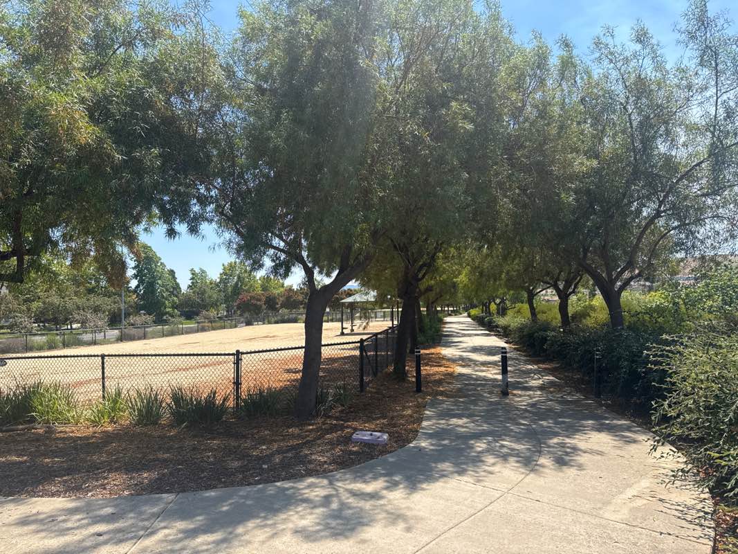 walking near me in Bark and Ride in autumn