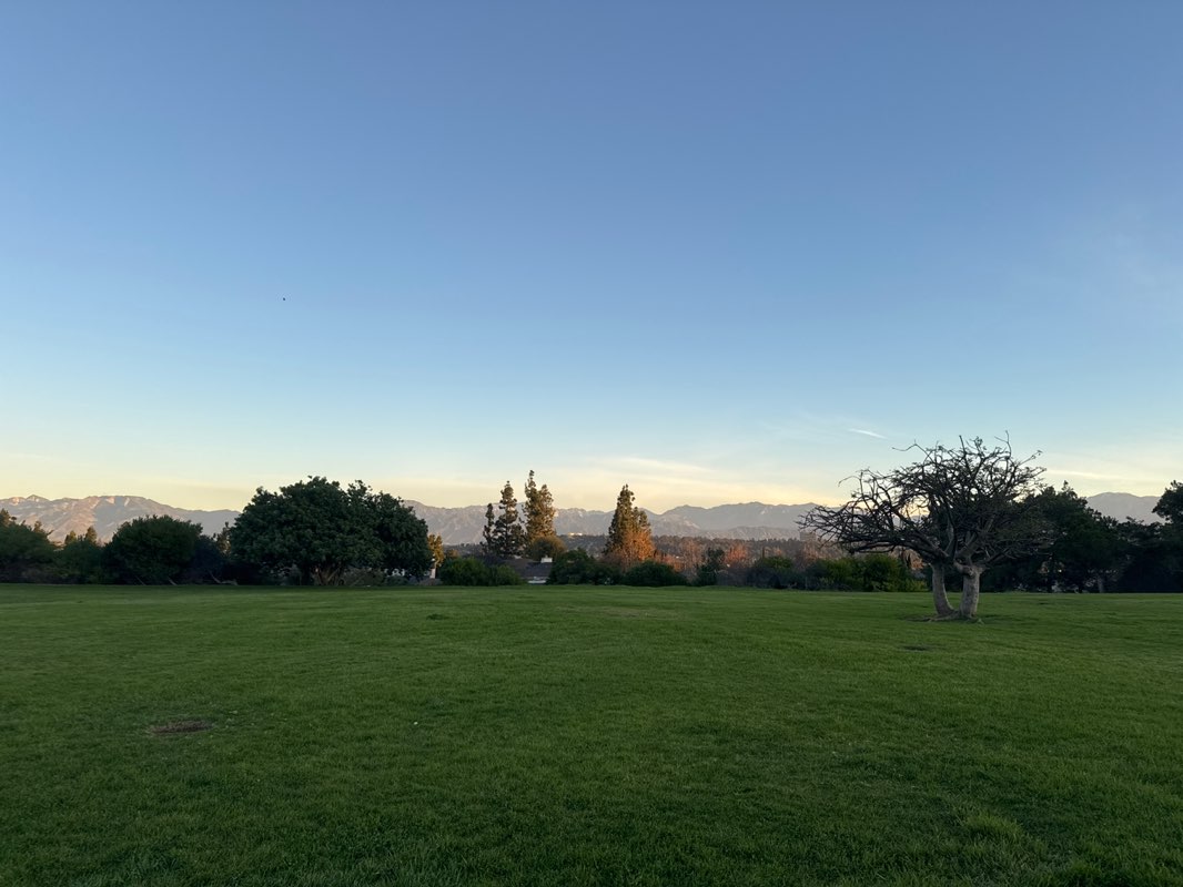 walking near me in Countrywood Park in winter