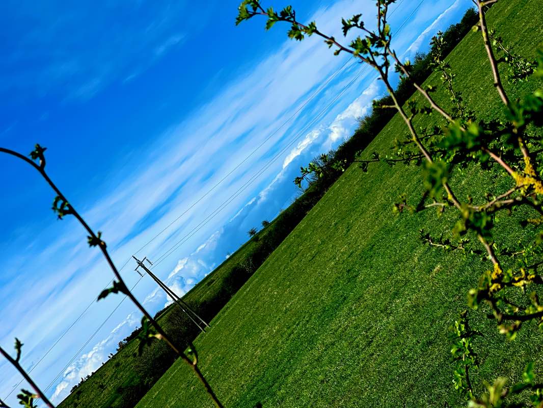 walking near me in Rising Sun Country Park in winter