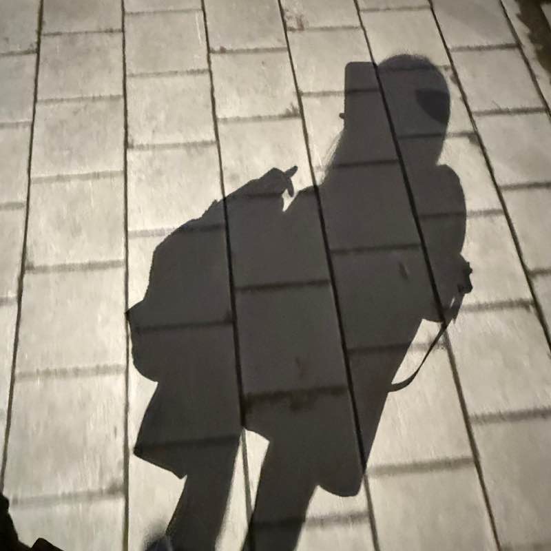 AnitaChan_怡君 post 1