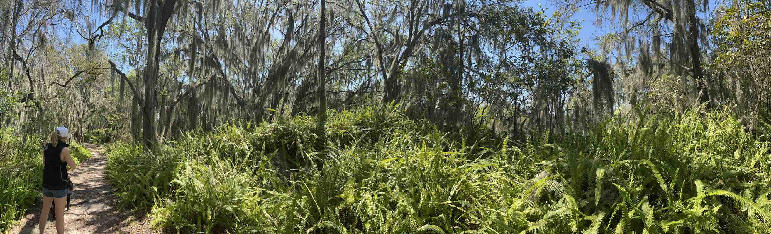 walking near me in Edward Medard Park and Reservoir in winter