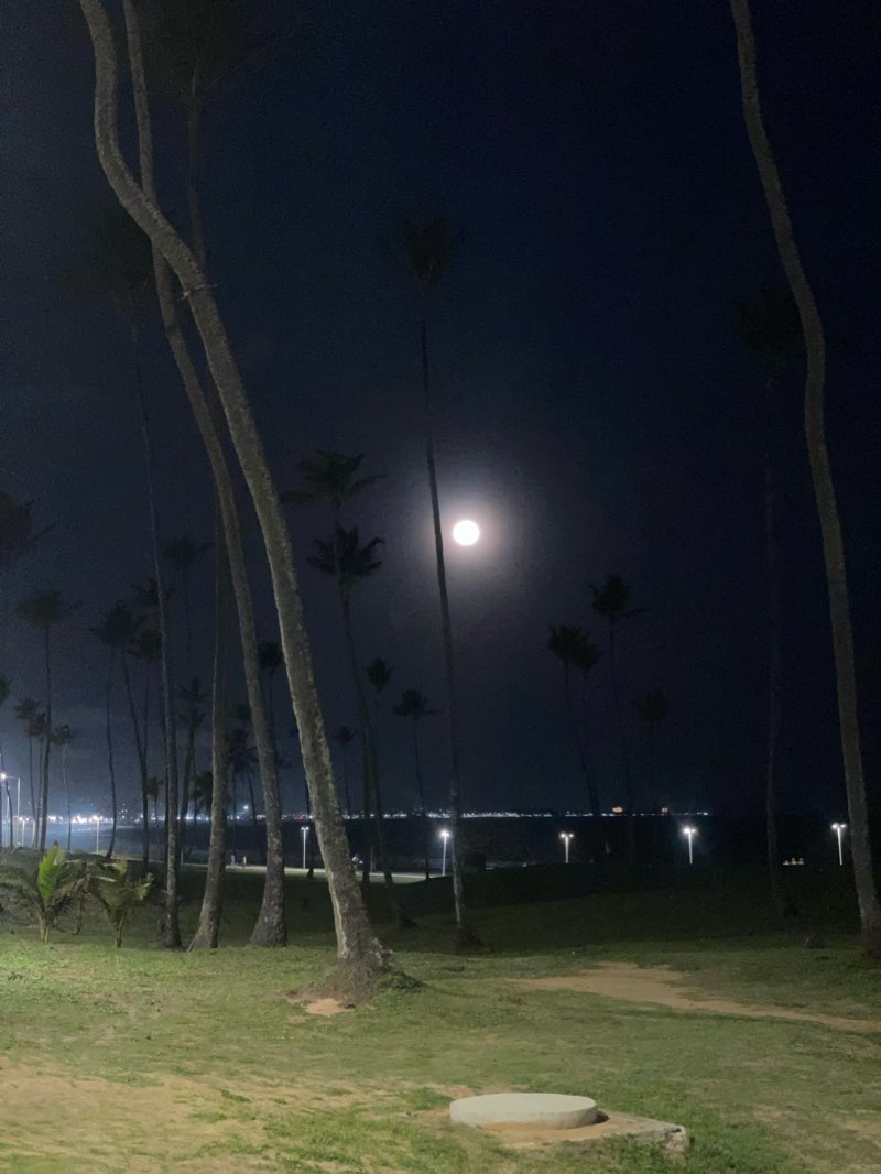 walking near me in Jardim dos Namorados in summer