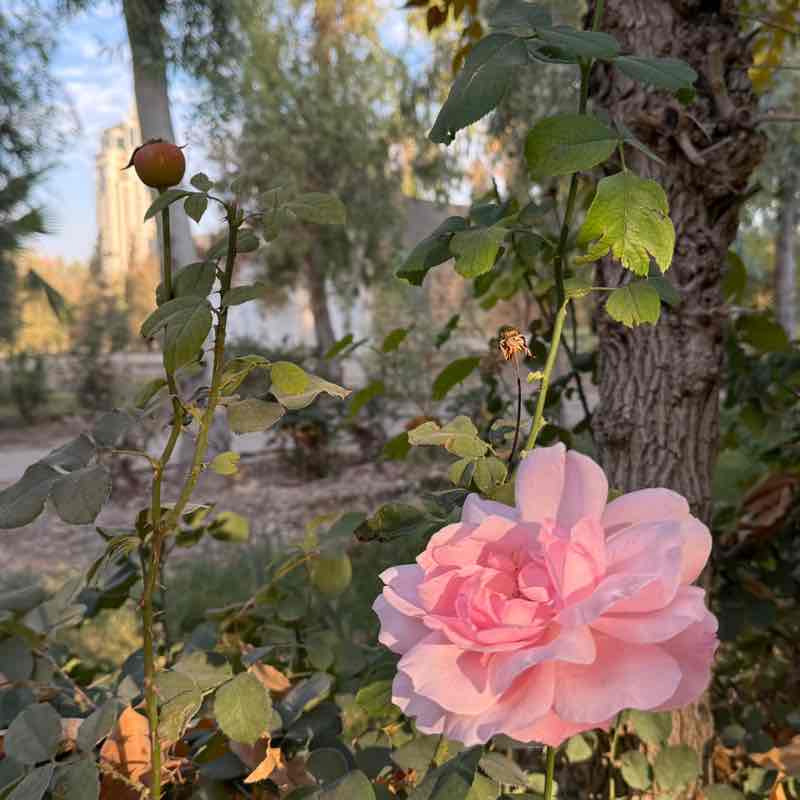 Joseane Freitas post 1