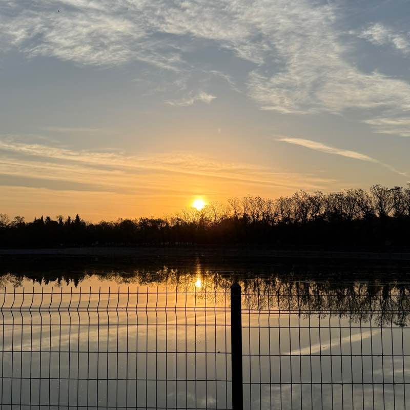 Joseane Freitas post 2